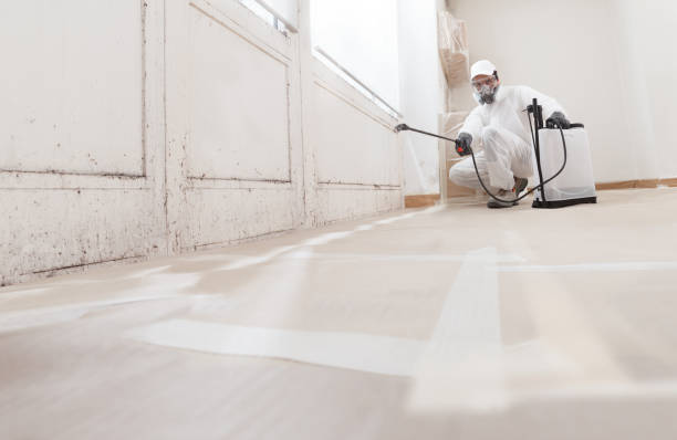 24/7 Emergency Attic Mold Removal experts in Lakeland, GA